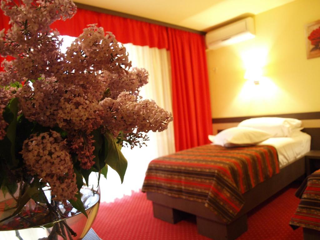 Hotel Dana 아마라 객실 사진